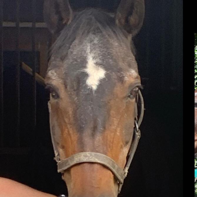 4787cfd0-778c-4181-80e9-804d46aa2c90