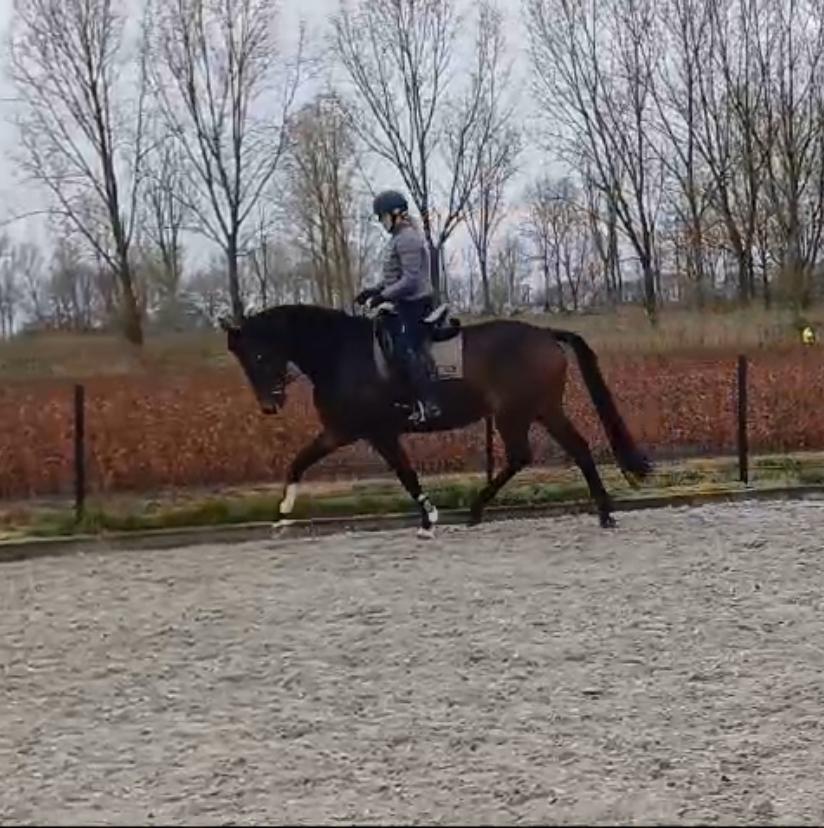 9455dc6d-a87c-4087-b1cb-79cfb408e36b